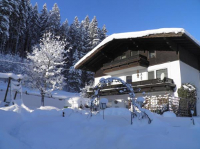 Haus Silesia, Abtenau, Österreich